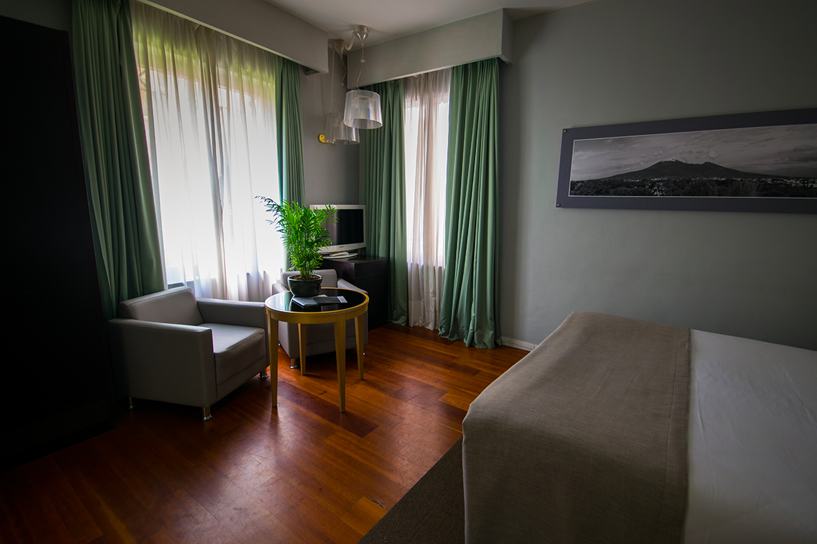 Immagine 1 della camera Standard Room